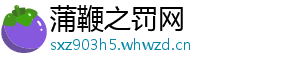 蒲鞭之罚网
